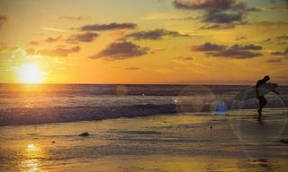 Surf1 Surf1