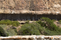 Cape Argus Cycle Tour Cape Argus Cycle Tour