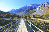 Timber Trail New Zealand Timber Trail New Zealand