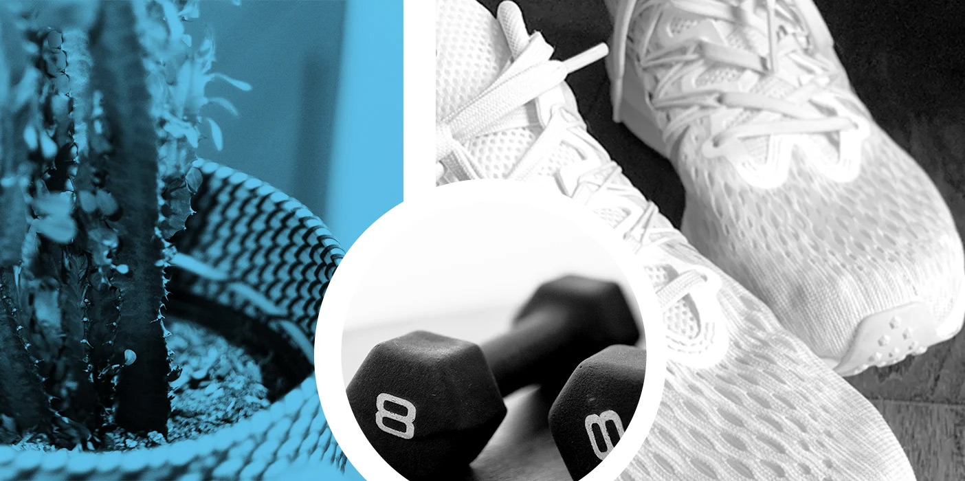 garmin sport connect